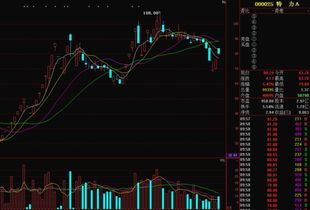 爆 特力A今天这样的消息是为了后面更美的发展